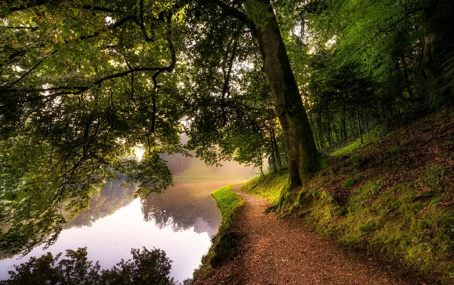 Wallpaper of untouched and pristine nature by the beautiful and dreamy lake
