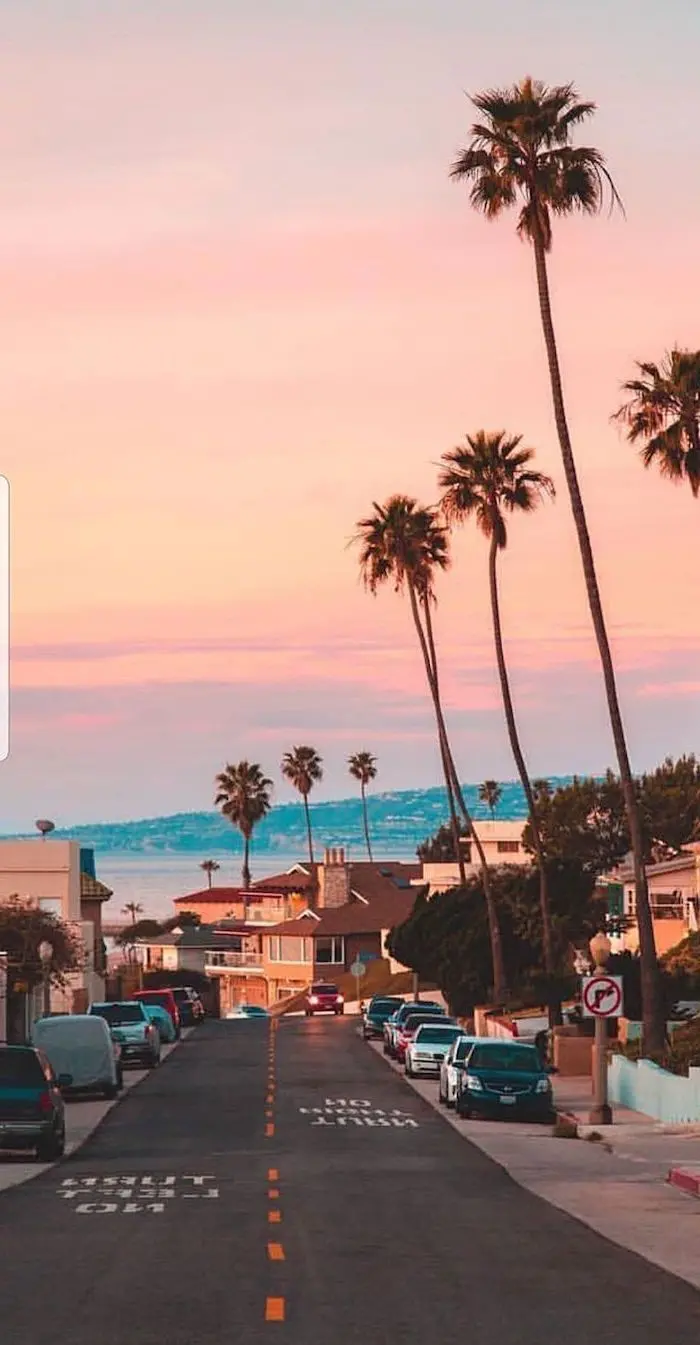 A scene of palm trees on the streets of Los Angeles