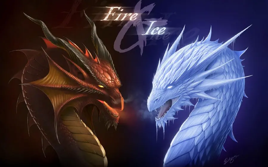 Unique wallpaper of two dragons in HD quality 