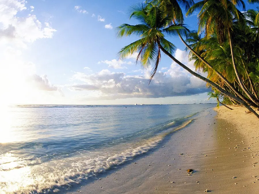 Photo of the golden beaches of the extraordinary natural islands of Mount Fell in Hawaii