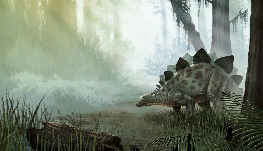 Image of the herbivorous Stegosaurus dinosaur with a stone and armored covering