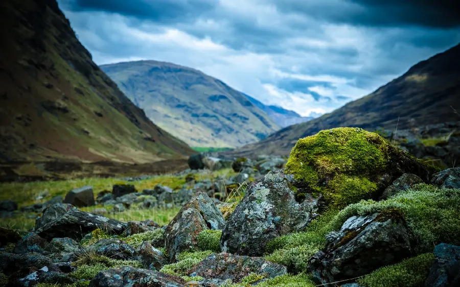 A beautiful image of a plain with rocks in the heart of lush nature