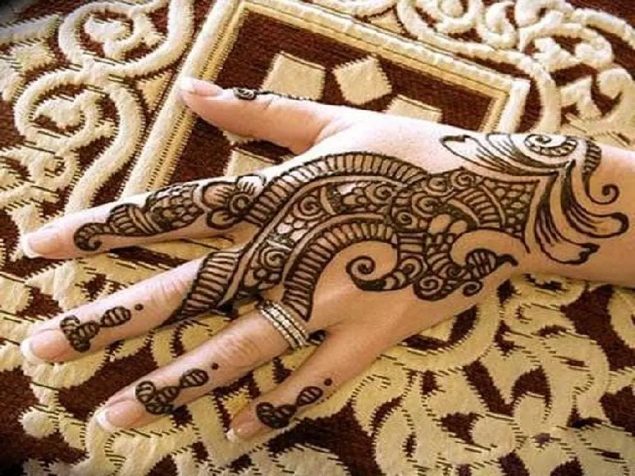 Image of the new model of henna designs on the hand with a combined linear and wicker pattern for ideas