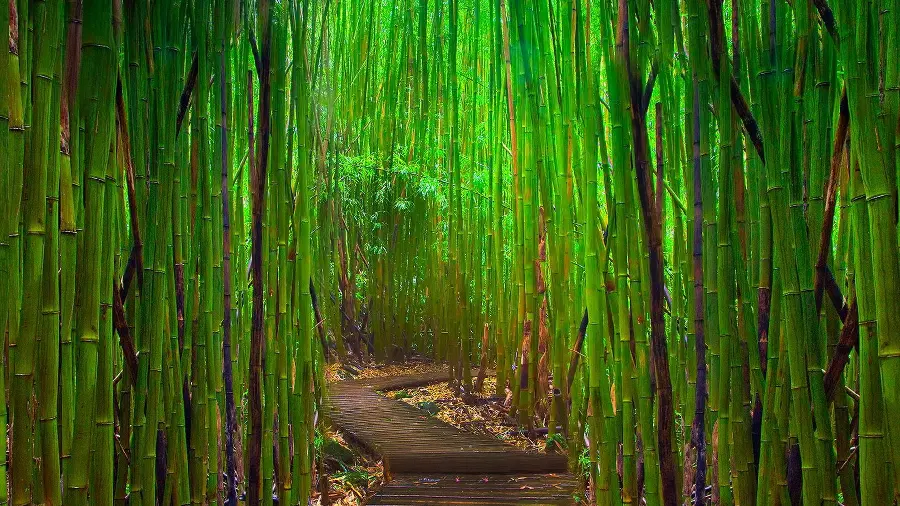 Free download of a special and spectacular image of a place of Zen nature 