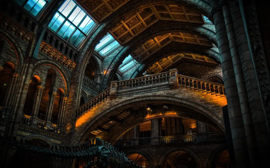 Magnificent historical museum background for all samsung phones