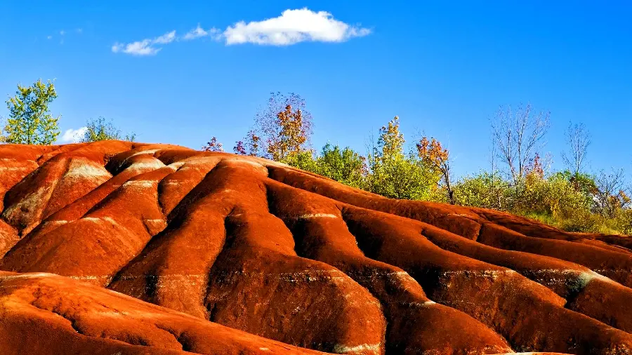 Spectacular image of blue sky next to red soil for profile or phone screen