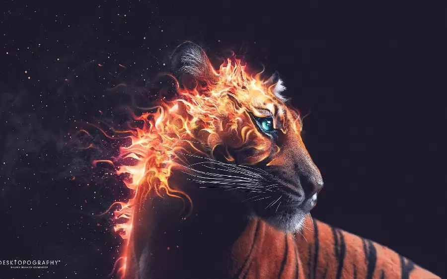 Boyish Art Background Digital Art Virtual and Reality Combination of Fire Tiger Symbol of Courage