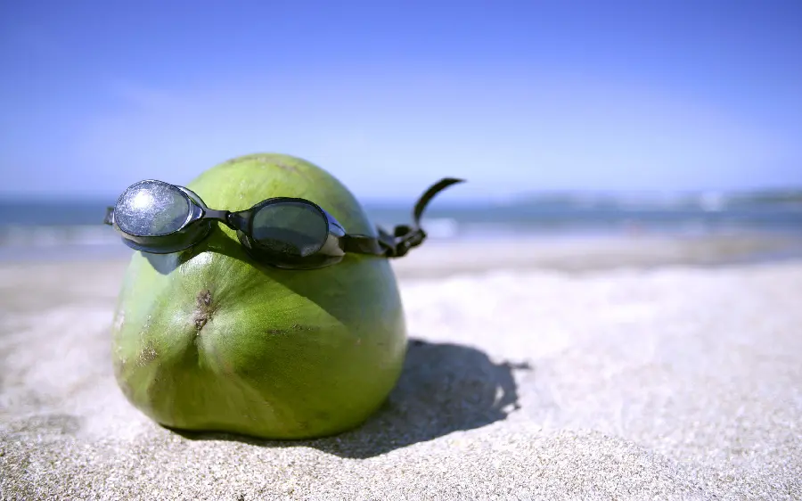 Unique and beautiful photo of a pumpkin on the beach in full HD quality 
