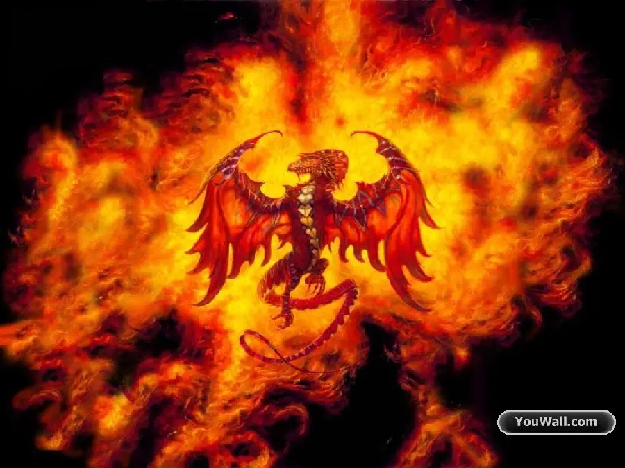 A quality image of a fire dragon that no one can penetrate 