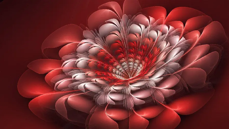 A spectacular and interesting photo of art in the field of mathematics called fractal 
