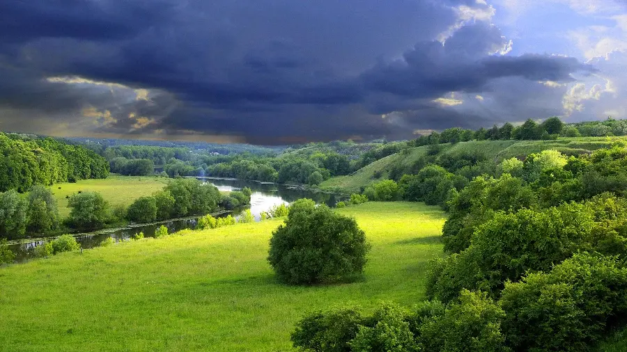 Amazing hd background of lush green summer trees under a dark cloudy sky