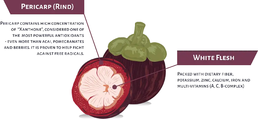 Photo introducing the different parts of the skin and the interior of the targil fruit 