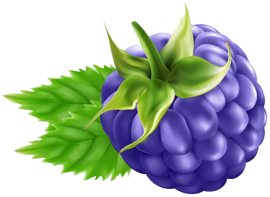 Spectacular and interesting PNG photo of purple raspberries with the highest quality 