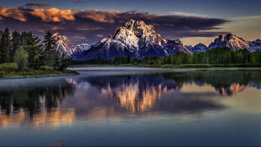 Download attractive and beautiful background of a scary forest with a lake 