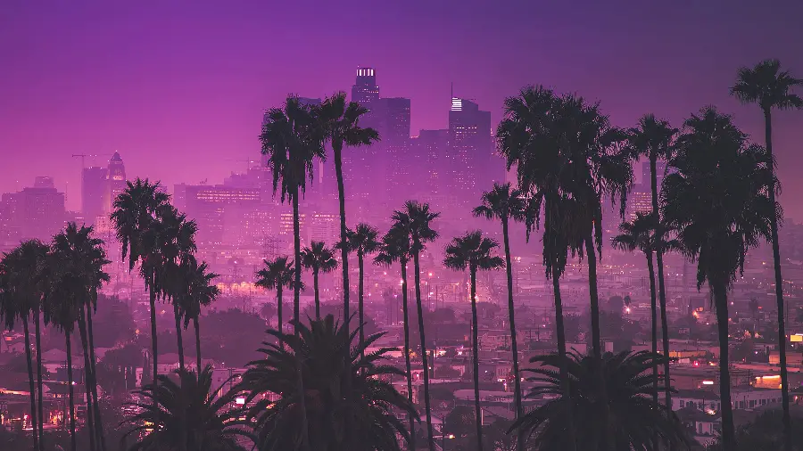 The most attractive photo of the pink landscape of coconut trees and foxtails in Los Angeles