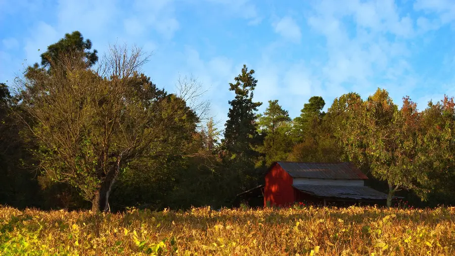 Download the latest free autumn wallpaper for your computer 
