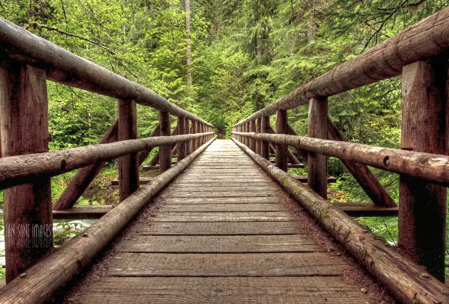 Get amazing photo of a wooden bridge in the middle of a dense and stylish forest