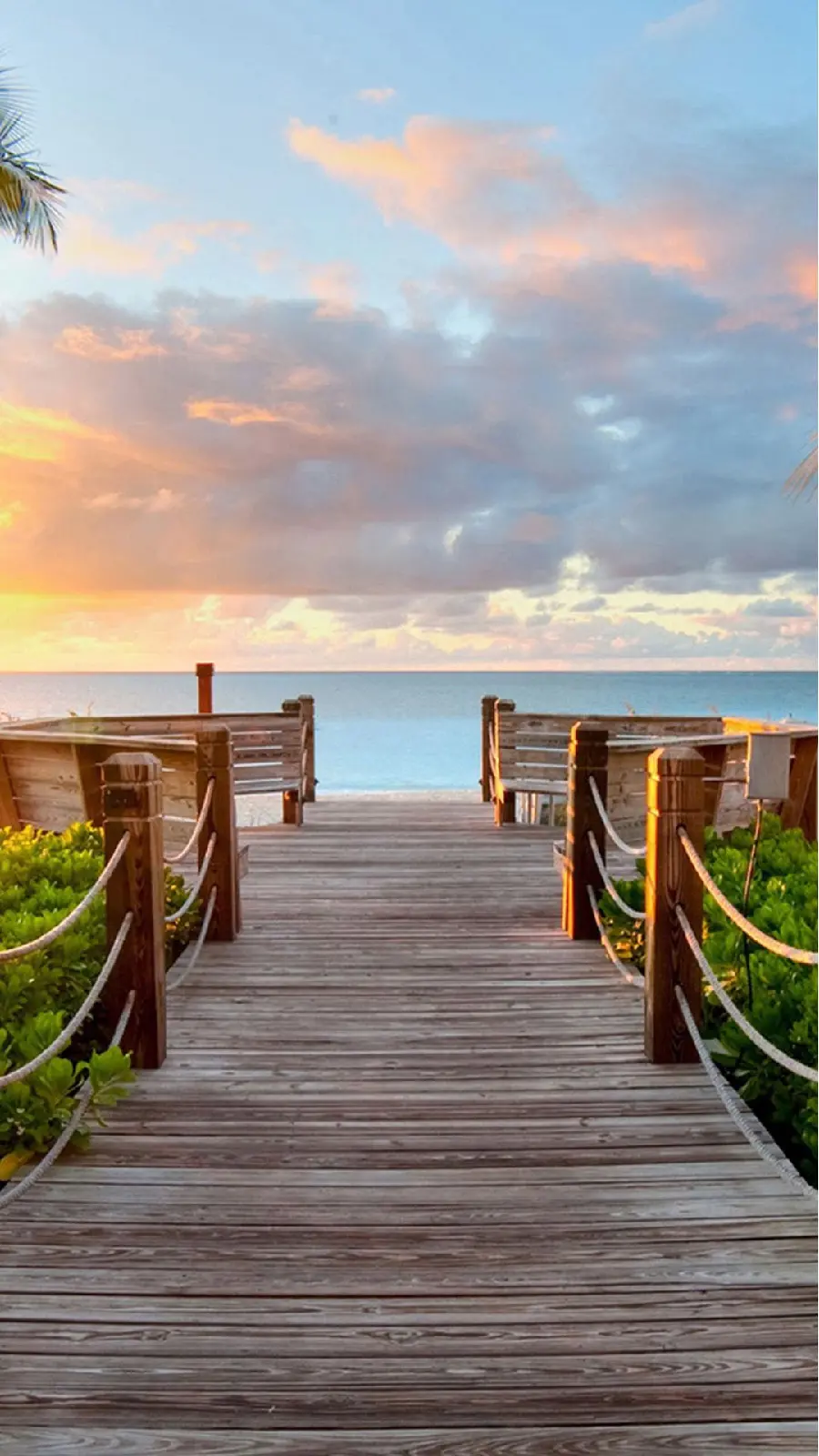 A beautiful and charming portrait of sunrise at sea with bridge