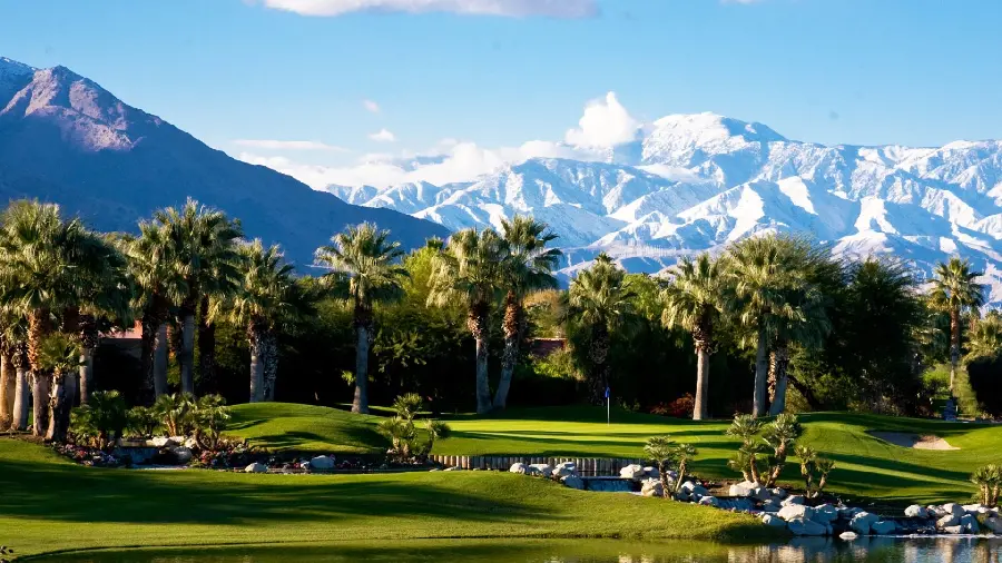 Attractive photo of green palm trees by the lake with a background of white snow-capped mountains