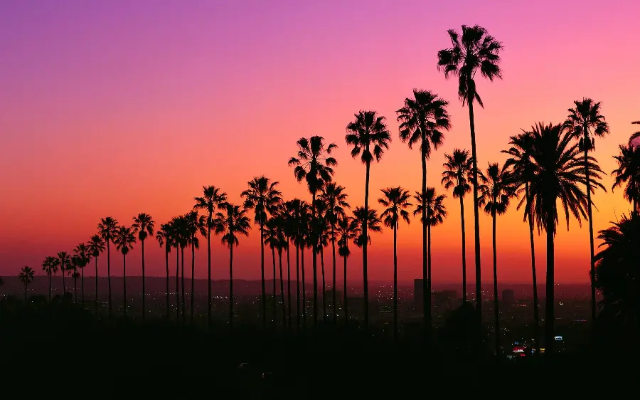 The most stunning photo of sunset streets surrounded by palm trees