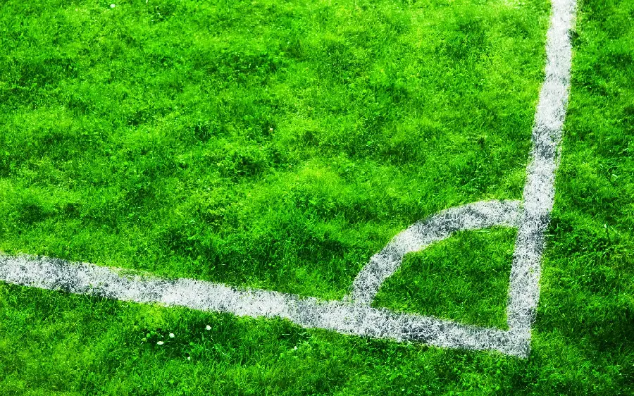 Boy's profile picture of a corner of a football field and grass 