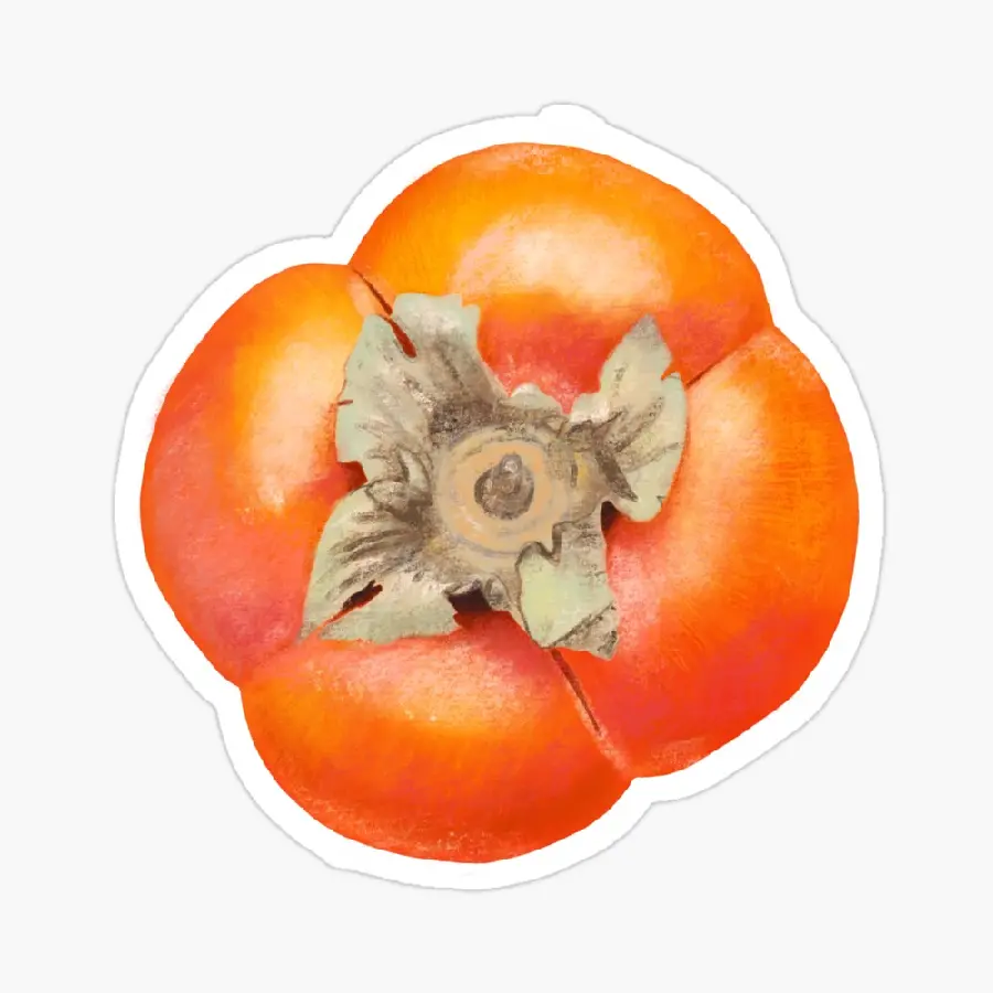 Stylish design and preparation of paper labels in the shape of orange persimmons
