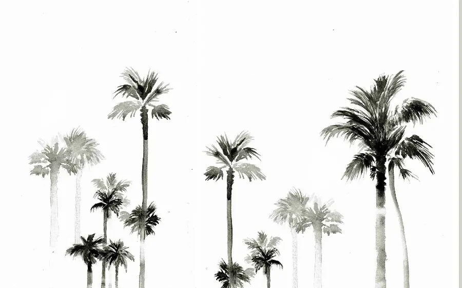 A masterpiece black and white design with a palm tree design as a wallpaper