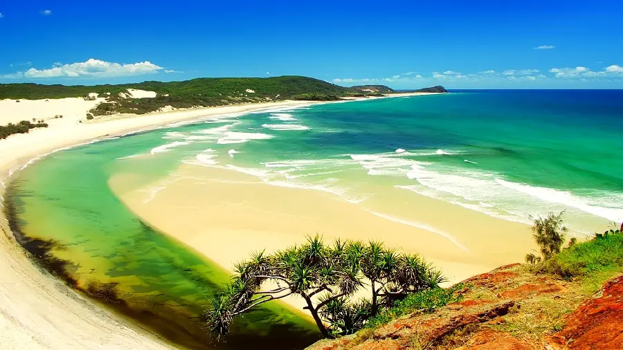 Beautiful green beach photo with forest full of trees in high quality