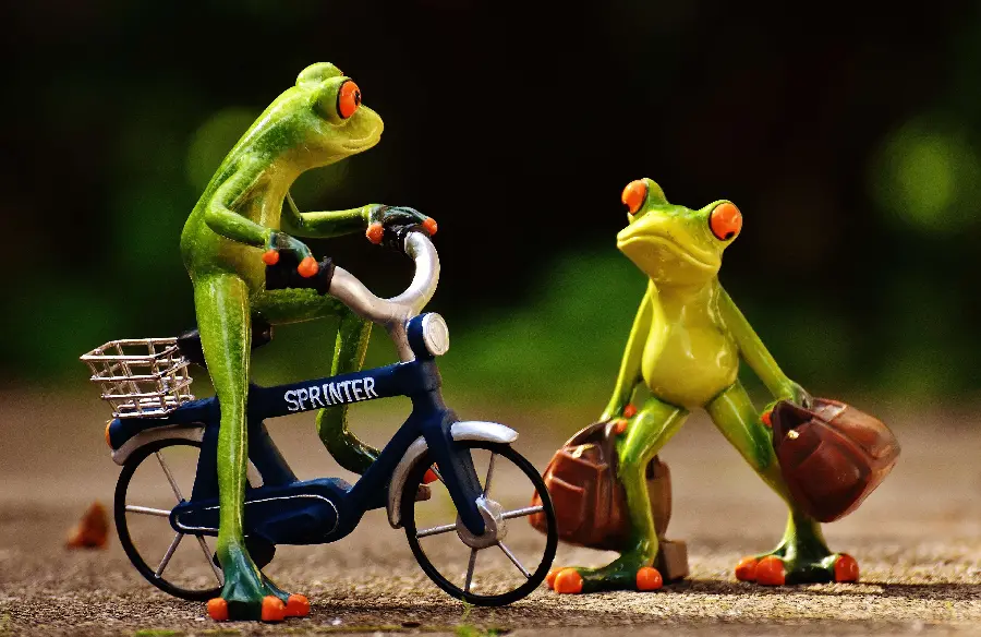 Photo of a miniature toy and fantasy decoration of a cute frog riding a bicycle 