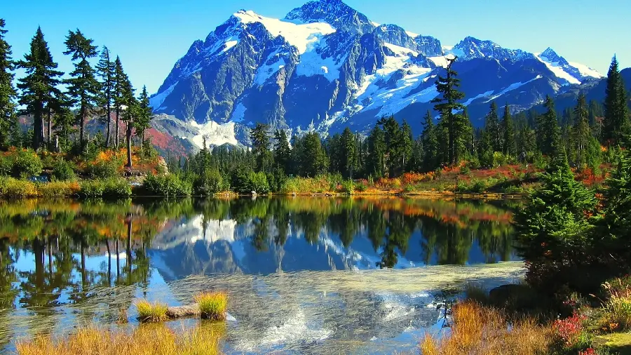 The latest high-quality nature wallpaper image for printing 
