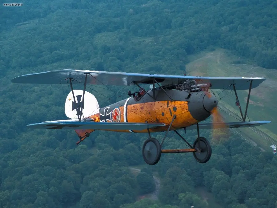 Ultra stylish and luxurious wallpaper of an old wooden plane
