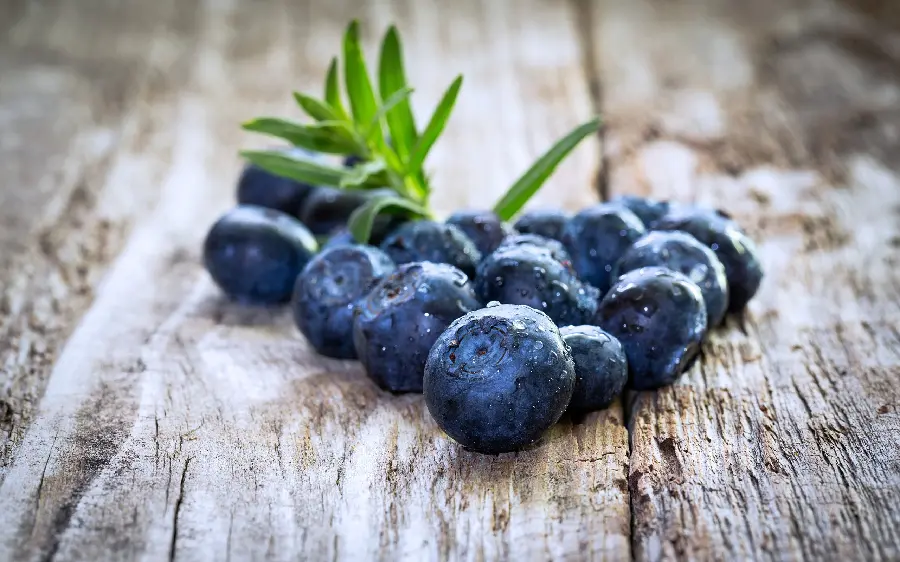Amazing and beautiful wallpaper of blueberries with a very delicious taste 