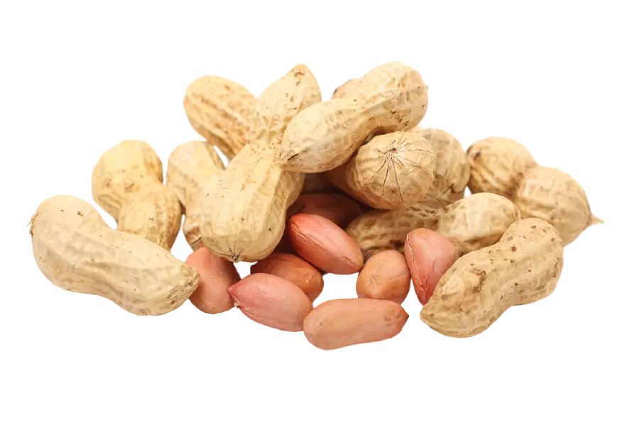 Best png peanut images for the site
