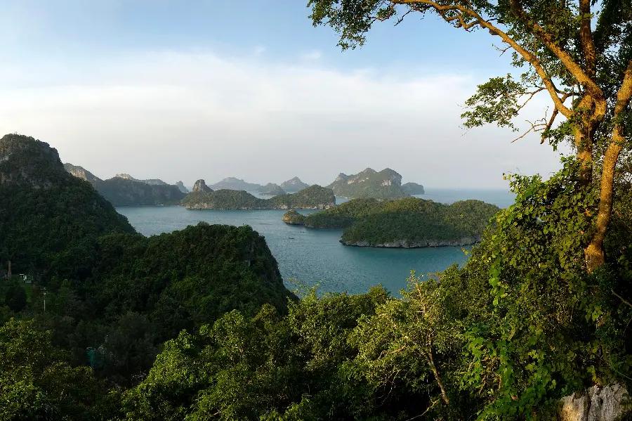 A story of the boundless sea with rocks covered with green and life-giving leaves
