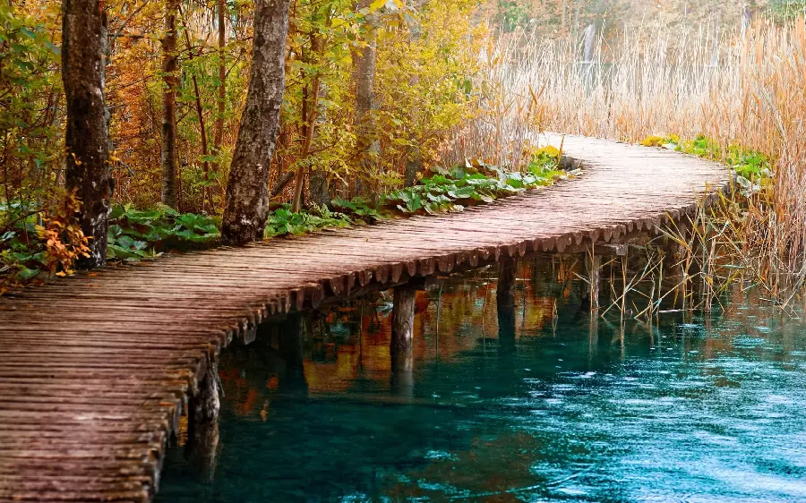 Get a spectacular stock photo of a crescent-shaped wooden bridge on the lake