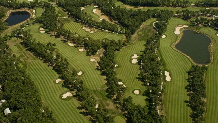 A very beautiful and spectacular photo of a beautiful and green plain