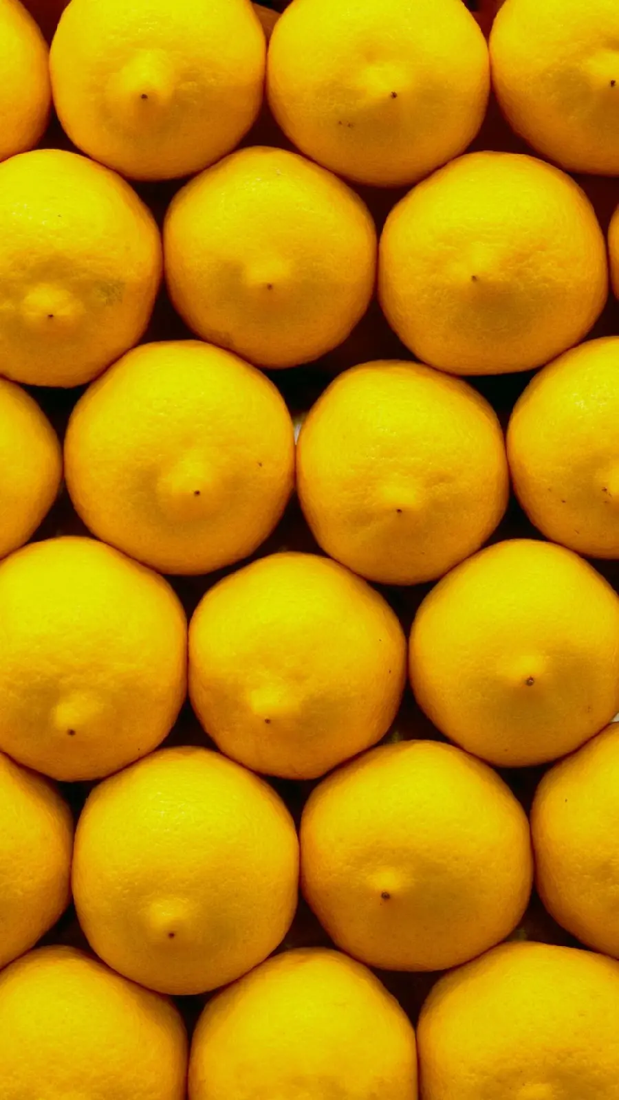 Enjoyable and Stunning Photo of Lemons Arranged in Order