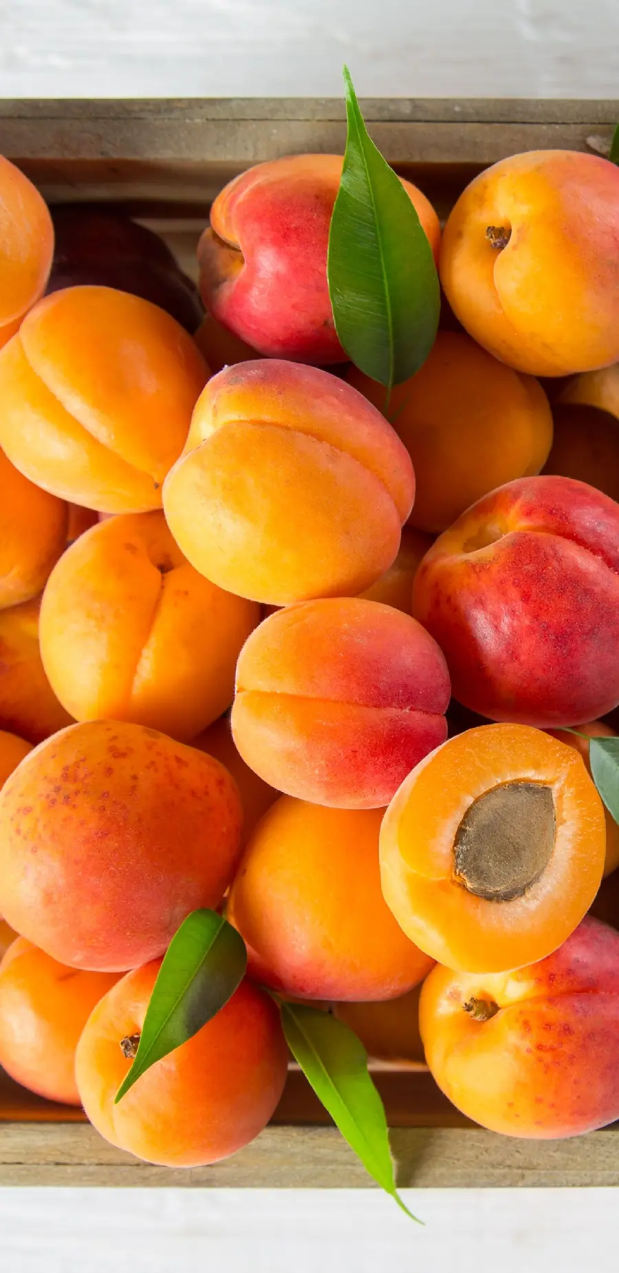 Energetic wallpaper of delicious peaches and apricots for iPhone