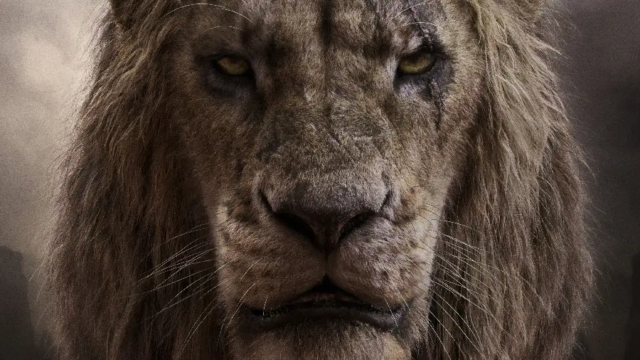 A simple photo of a real lion up close with the highest possible quality