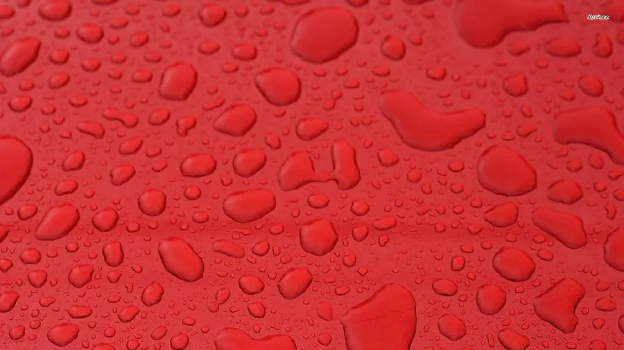Download amazing image with great wet texture 