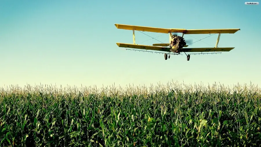 Image of an old yellow plane over a spectacular green field