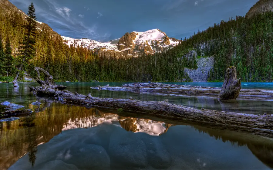 High quality nature photos and completely free