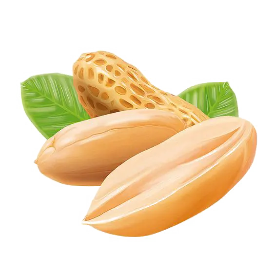 Cartoon png file of peanuts in teleported form