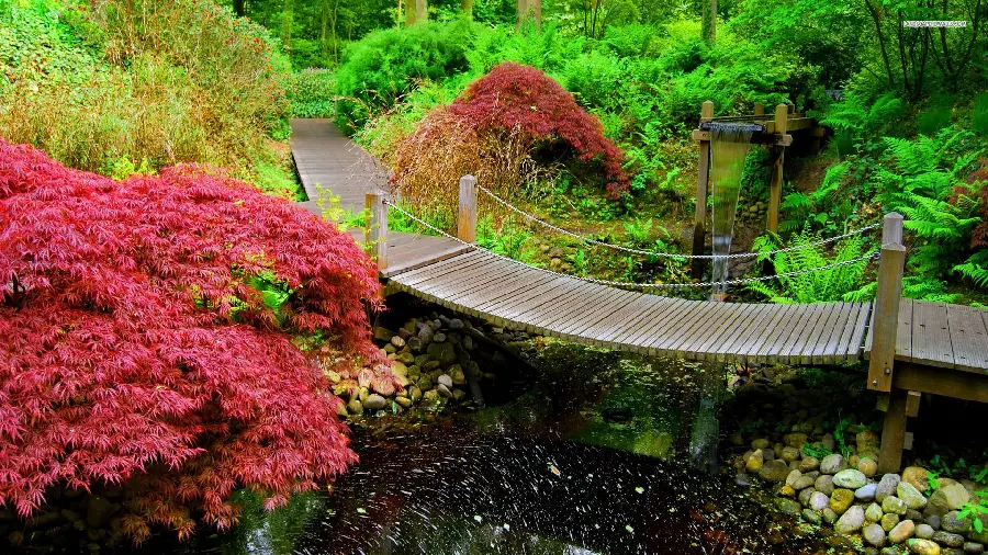 Beautiful and spectacular wallpaper of red flowers and the famous Zen nature of Japan 
