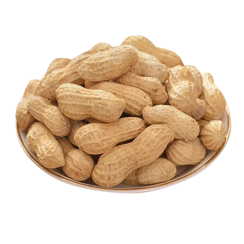 Telephoto of fresh peanuts In the container 