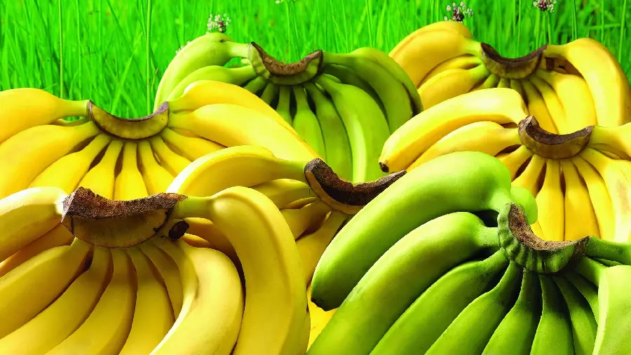 Interesting Image of Bunches of Bananas Arranged Together in 4k Quality
