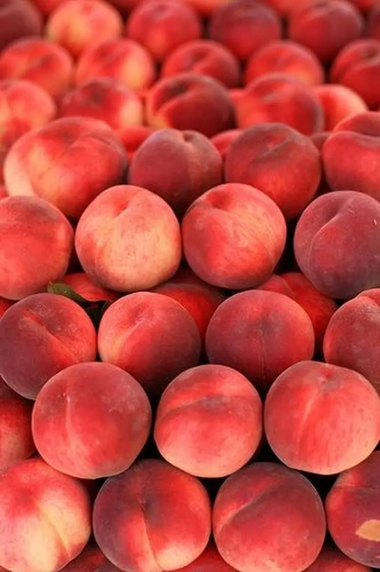 Peach fruit profile with incredible properties for the WhatsApp application