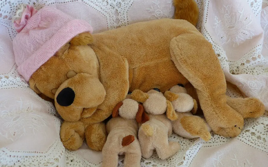 Download a very attractive background of dog dolls in full HD quality