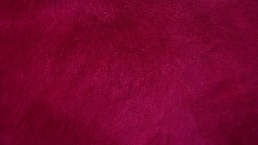 Unique background And beautiful with a beautiful liver color 