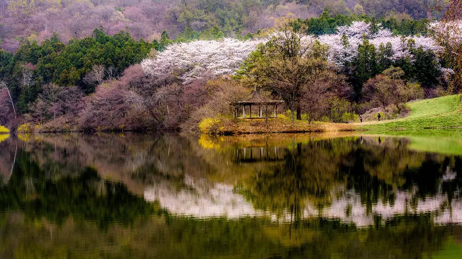 Autumn image of trees of a thousand colors next to an enchanting lake